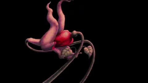 katsuro online show from February 18, 9:47 pm