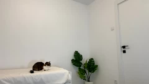 Kenna next time online - 2nd of Dec online show from November 13, 6:29 pm