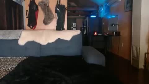 Kimber online show from November 14, 4:45 am