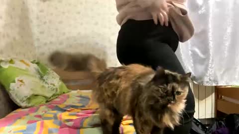 Just Kira online show from January 2, 6:56 pm