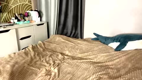 Tanesha online show from May 11, 4:04 pm