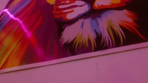 vane online show from December 14, 3:01 am