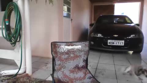 kelly online show from March 8, 5:41 pm