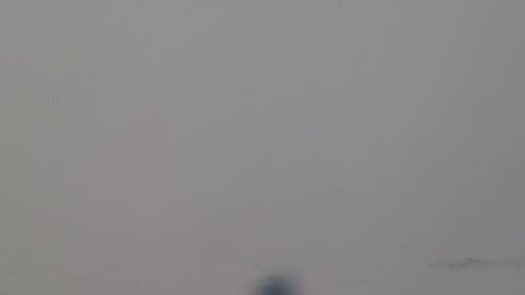 leanaalhub online show from February 22, 7:48 pm