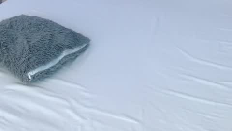 LUCY online show from November 28, 8:56 pm