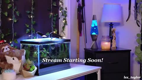 Snapshot of lex_taylor chatting on January 14, 4:15 am Lex online show from January 14, 4:15 am