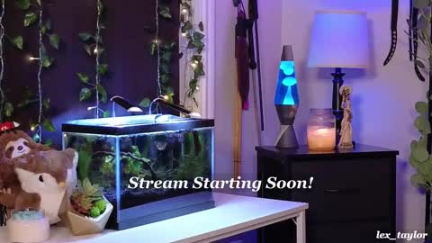 Snapshot of lex_taylor chatting on February 18, 4:38 pm Lex online show from February 18, 4:38 pm