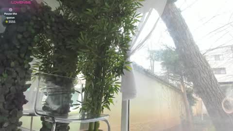 lexi_storm online show from March 14, 10:16 am