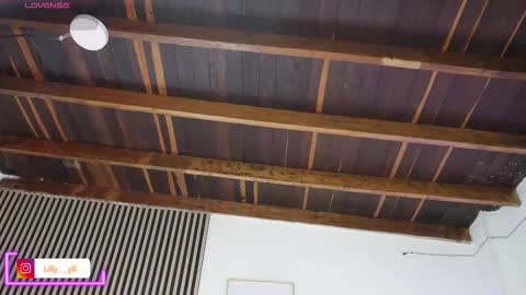 Sofia online show from February 5, 1:14 pm