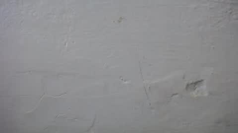 Snapshot of lisa_branch chatting on October 6, 7:18 pm lisa_branch online show from October 6, 7:18 pm