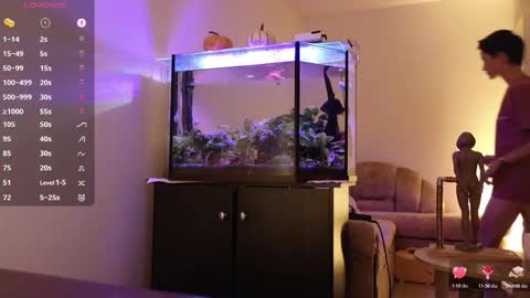 Alisa online show from October 27, 9:20 pm