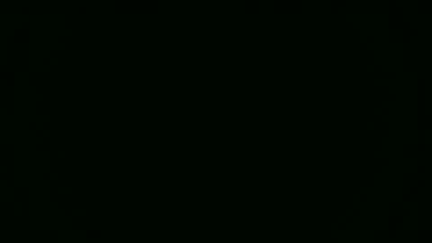 Sammy online show from January 14, 12:54 pm