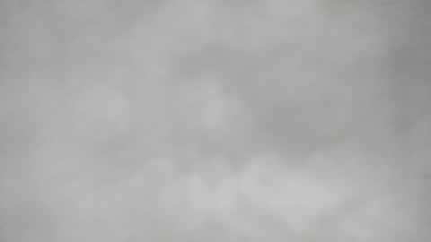 L O L Y -- E B O N Y online show from April 17, 8:22 pm