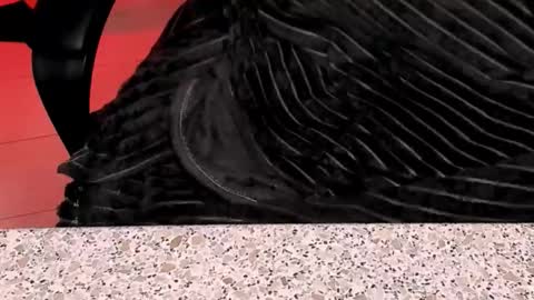 Sailor online show from November 8, 8:19 am