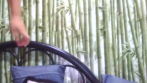 lovelyass4u14 online show from June 10, 10:47 am