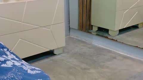 LUNA  online show from November 25, 2:30 pm