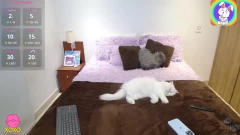    t  online show from November 20, 2:56 am