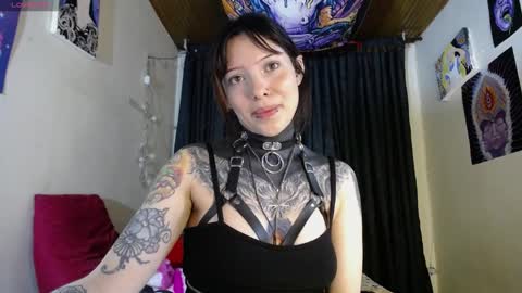 Alice Asylum online show from December 6, 6:04 am