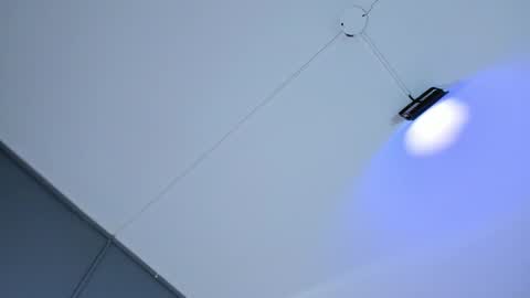 Malu online show from December 5, 6:31 pm