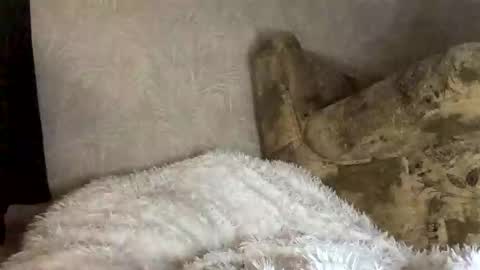 Marta online show from November 27, 7:55 am