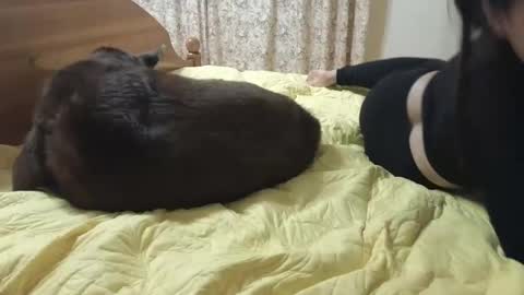 Melissa online show from February 16, 7:27 pm