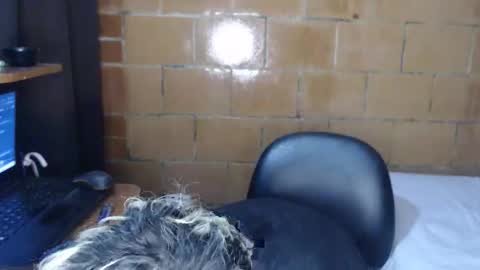 Megan and sophi online show from April 9, 3:31 am