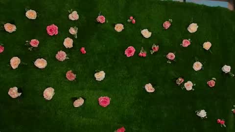 megatitts_ online show from April 14, 8:14 am