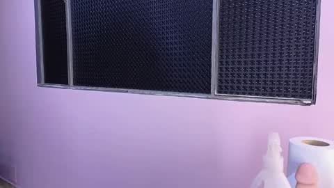 Mei online show from February 16, 8:20 pm