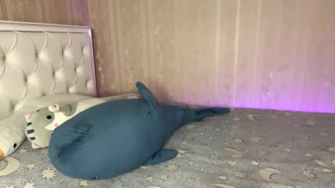 Mila online show from February 13, 9:44 am