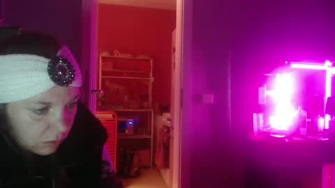 Melli online show from February 2, 7:13 pm