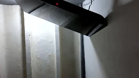 melodycharlotte online show from November 12, 11:30 am