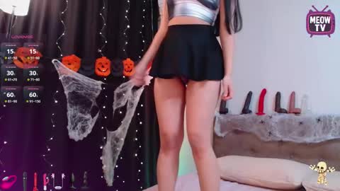 meowkami online show from November 2, 11:41 pm