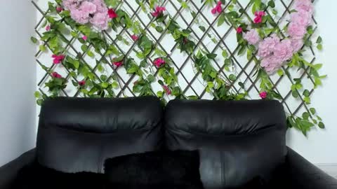 My next birthday is December 11th. online show from November 6, 1:22 am