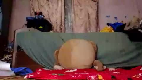 MicheRed online show from November 23, 7:48 pm