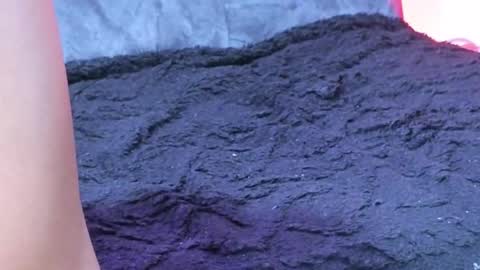 Laura online show from January 14, 12:04 am