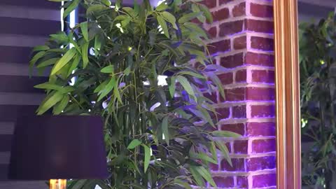 Snapshot of millaserene chatting on September 20, 6:55 am Milla online show from September 20, 6:55 am