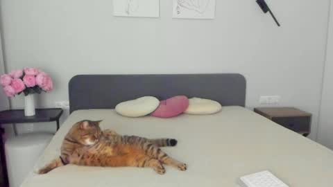 Emily online show from April 10, 11:22 pm