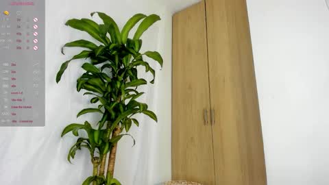 missangeldust online show from November 29, 12:09 pm