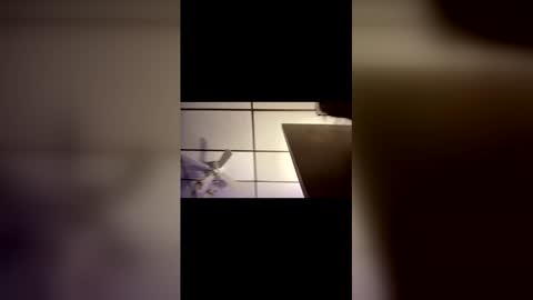 MichelleBunny7 online show from March 30, 2:55 am