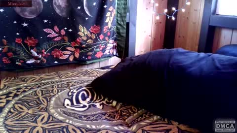 mizziijaie online show from October 23, 1:44 am