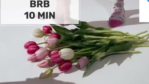 Mommy online show from March 18, 5:45 am