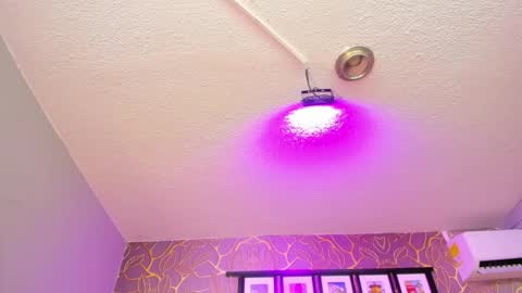   online show from January 11, 3:17 pm