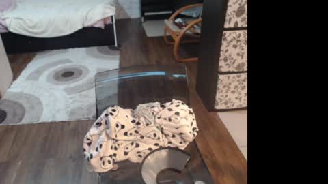 Sasha online show from April 12, 7:27 pm