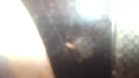 Mrs Venus online show from January 30, 2:36 pm