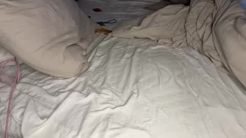 mskitty000 online show from December 3, 2:03 am