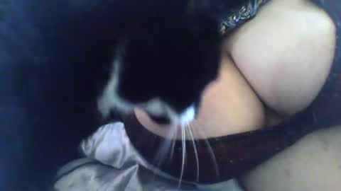 mslany online show from December 2, 6:19 pm