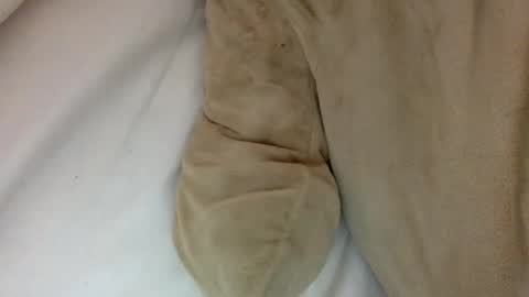 Snapshot of munchi_ chatting on January 29, 1:49 pm online show from January 29, 1:49 pm