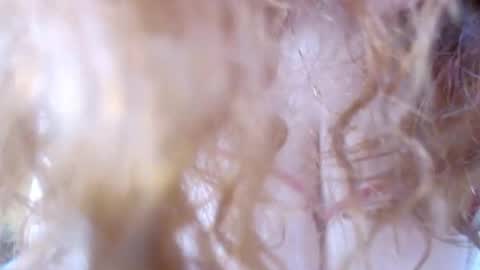 Snapshot of mussa_hott chatting on October 12, 12:35 am Mussa Hott online show from October 12, 12:35 am