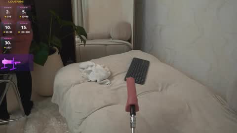 Natasha Smith online show from February 16, 12:05 pm