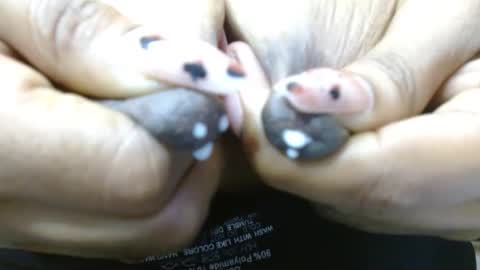 natashadormat online show from October 13, 3:14 pm